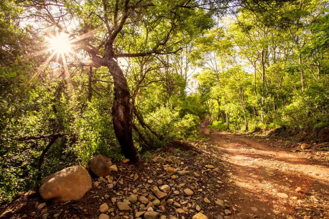 Willa Rivendell Trout Estate Lydenburg Zewnętrze zdjęcie