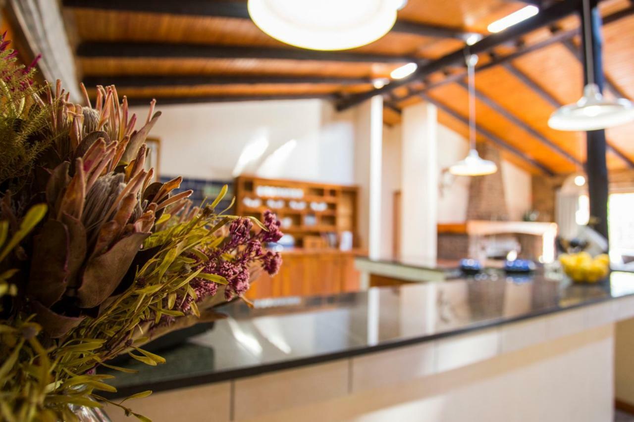 Willa Rivendell Trout Estate Lydenburg Zewnętrze zdjęcie